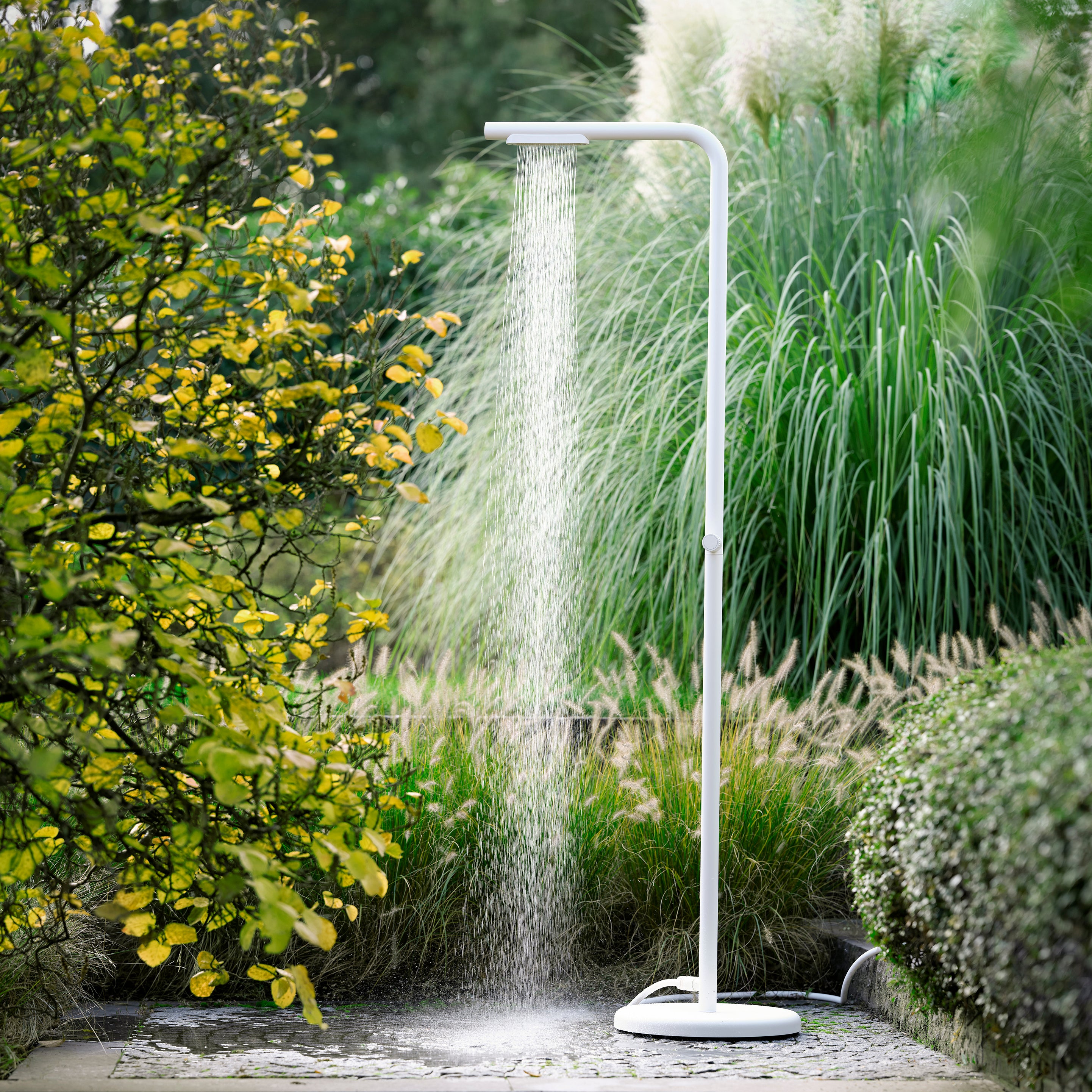 more about levantine